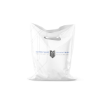 80703-plastic-bag-mockup-6064acaf6dae3(1) (1) copy